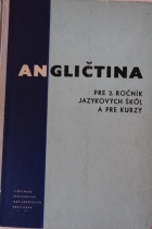 Angličtina pre 2. ročník jazykových škol a pre kurzy