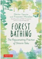 Forest Bathing: The Rejuvenating Practice of Shinrin Yoku