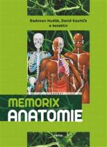 Memorix anatomie