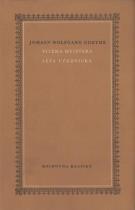 Viléma Meistera léta učednická