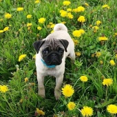 andreavespalcova@gmail