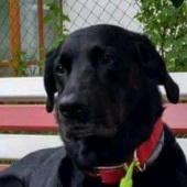 Gabriela Potůčková