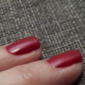 petapolakova@gmail.com